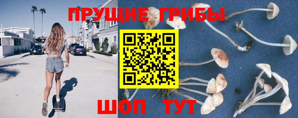 Галлюциногенные грибы мицелий  Вход с VPN  Челябинск 